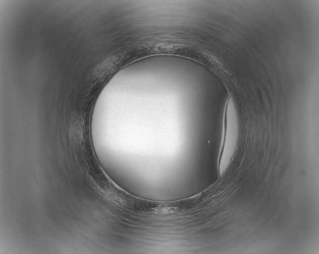 X0000053000451200508051138