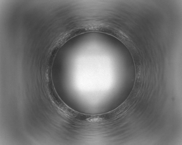 X0000053000452200508051138