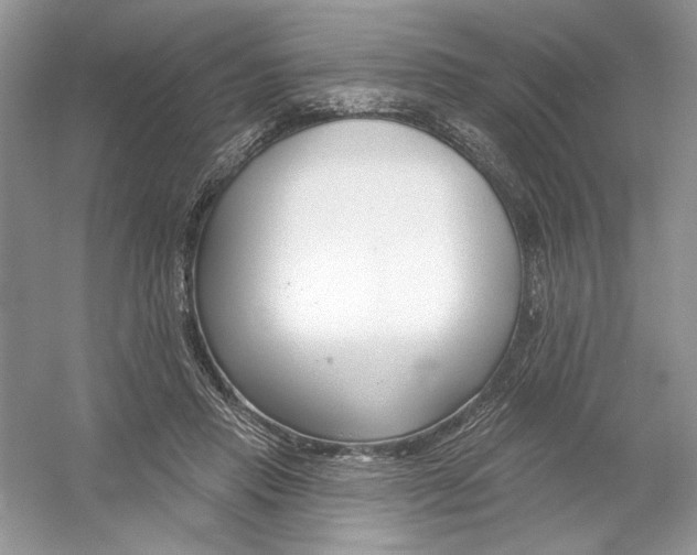 X0000053000453200508051138