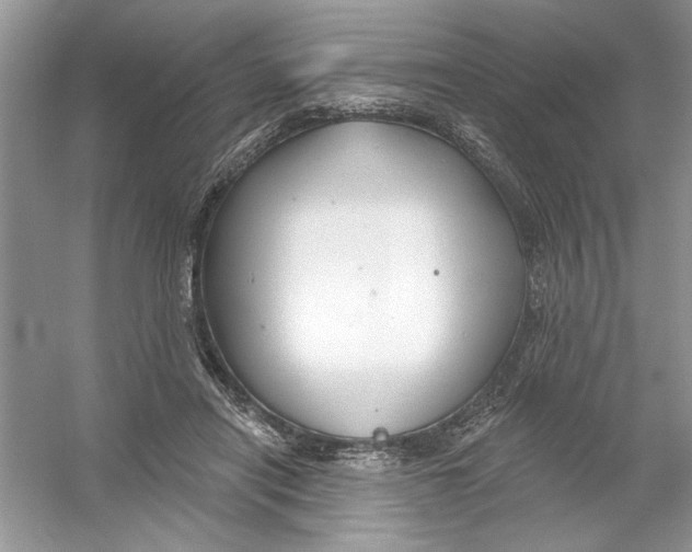 X0000053000454200508051138