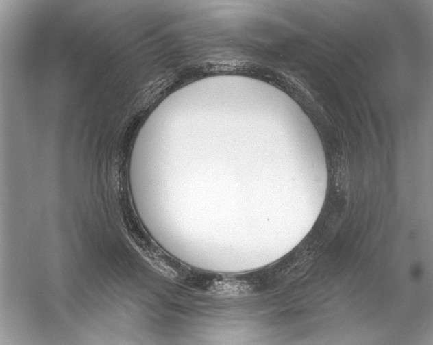 X0000053000455200508051138