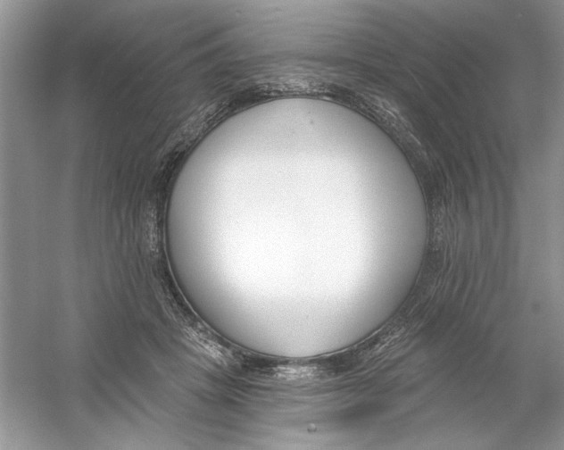 X0000053000457200508051138