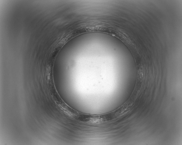 X0000053000458200508051138