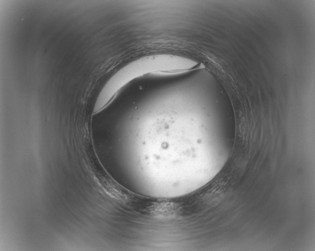 X0000053000459200508051139