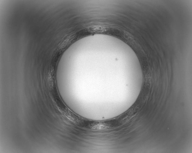 X0000053000460200508051139