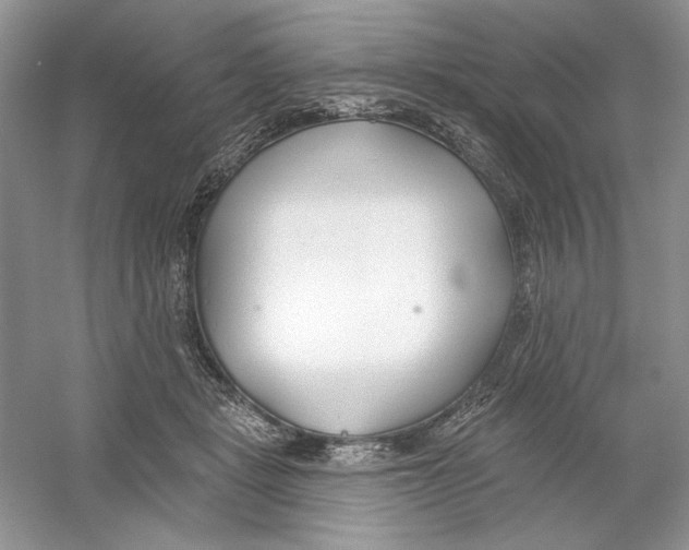 X0000053000461200508051139