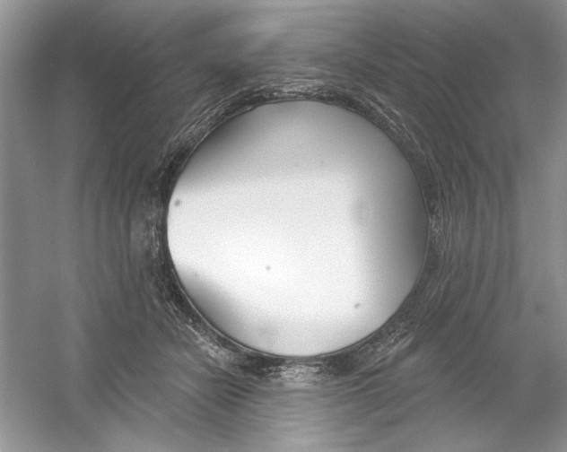 X0000053000462200508051139