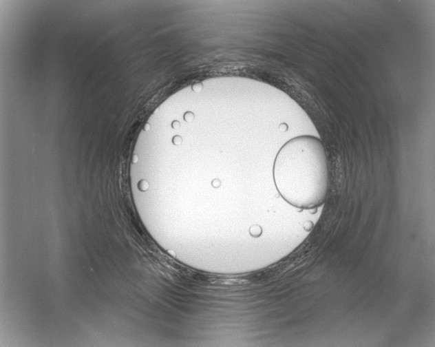 X0000053000463200508051139