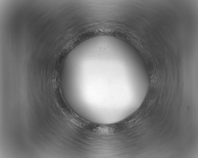 X0000053000464200508051139