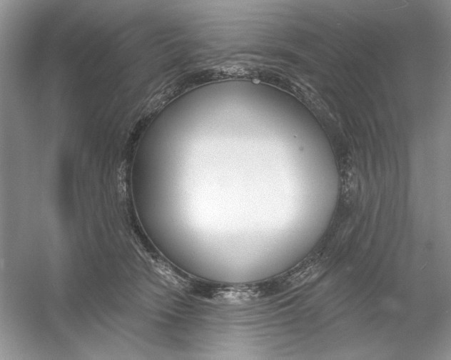 X0000053000466200508051139