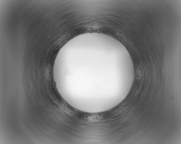 X0000053000468200508051139