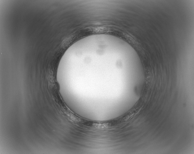 X0000053000469200508051139