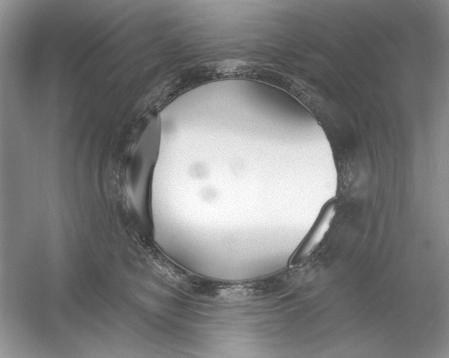 X0000053000470200508051139