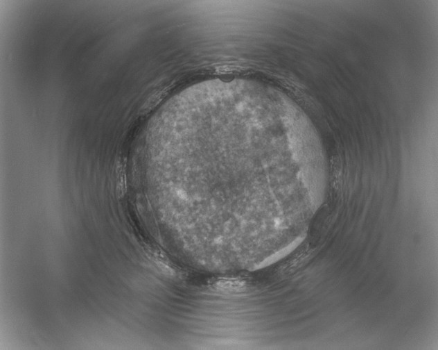 X0000053000471200508051139