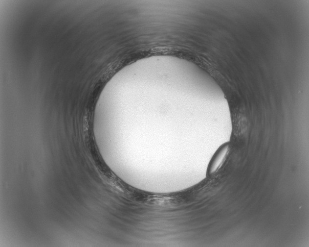 X0000053000472200508051139