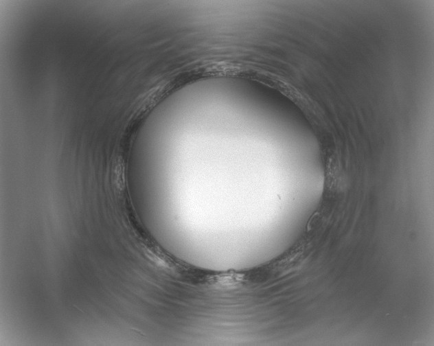 X0000053000474200508051139