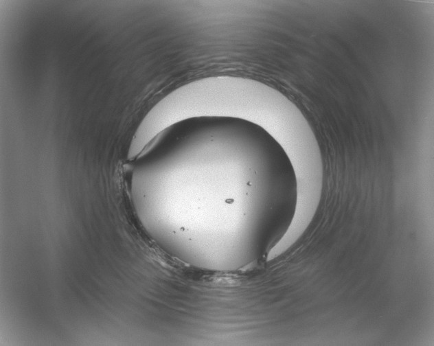 X0000053000475200508051139