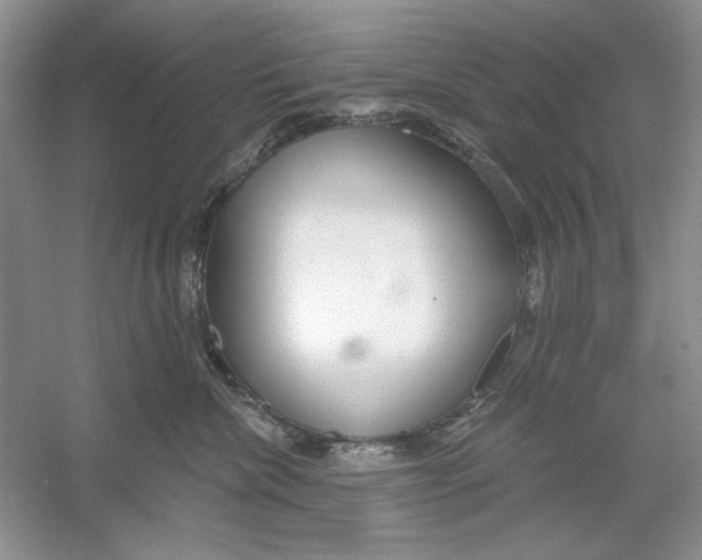 X0000053000476200508051139