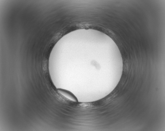 X0000053000477200508051139