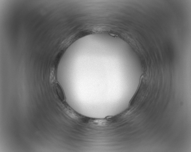 X0000053000478200508051139