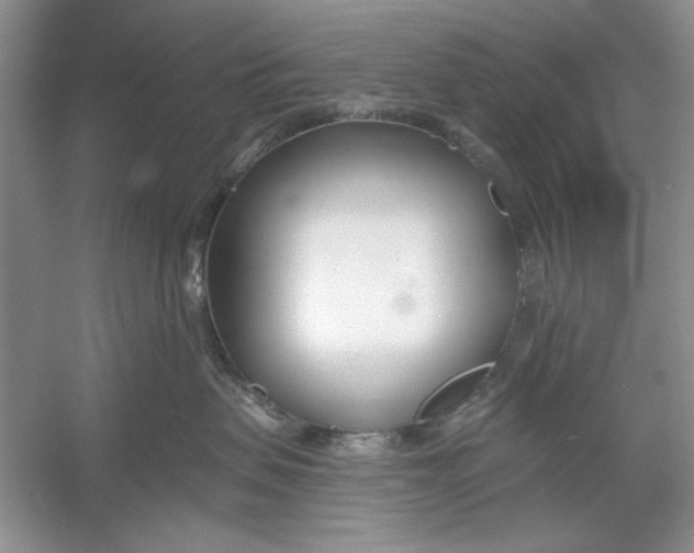 X0000053000479200508051139