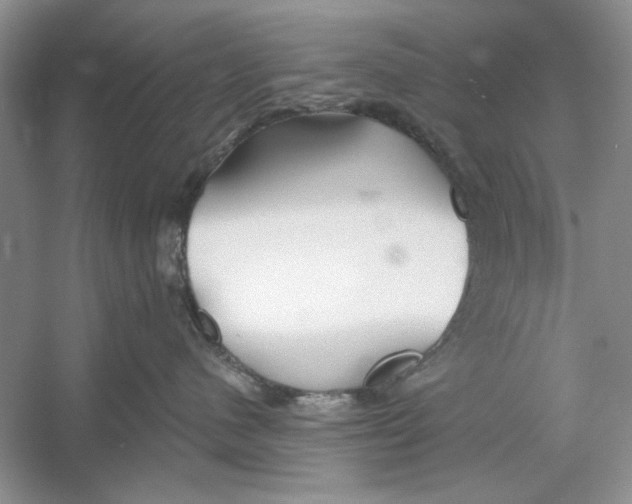 X0000053000480200508051139