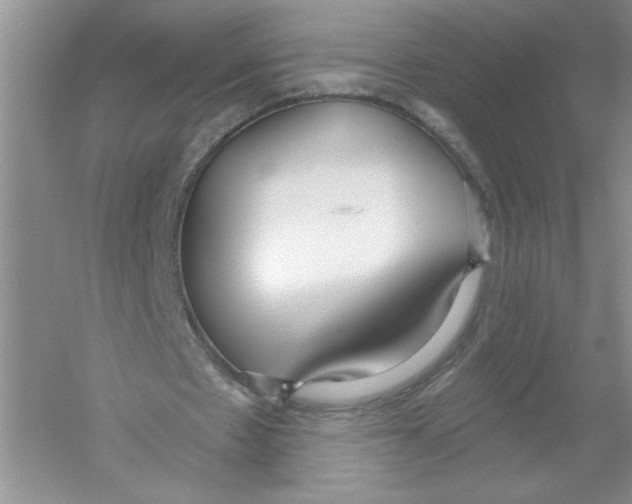 X0000053000481200508051138