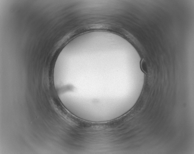 X0000053000482200508051138