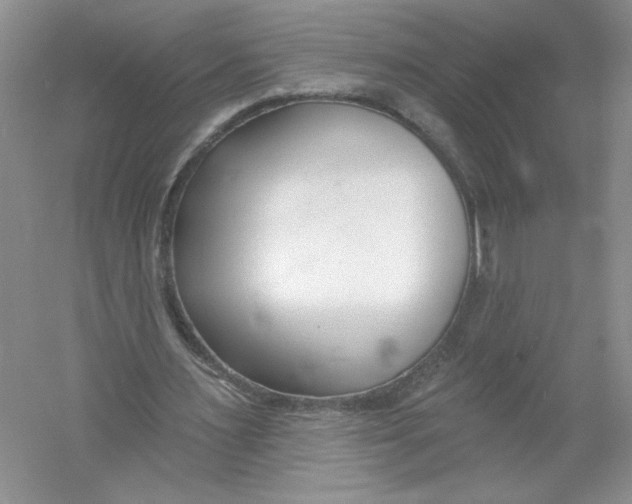 X0000053000483200508051138