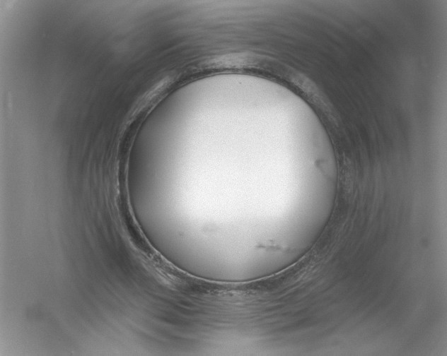 X0000053000486200508051138