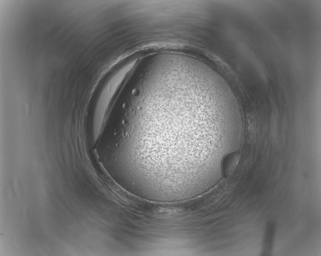 X0000053000487200508051138