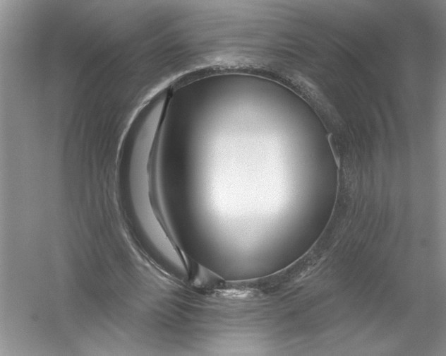 X0000053000488200508051138