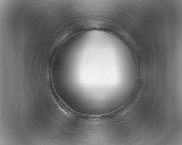 X0000053000489200508051138