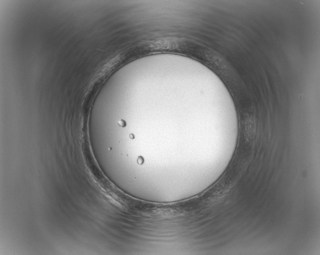 X0000053000490200508051138