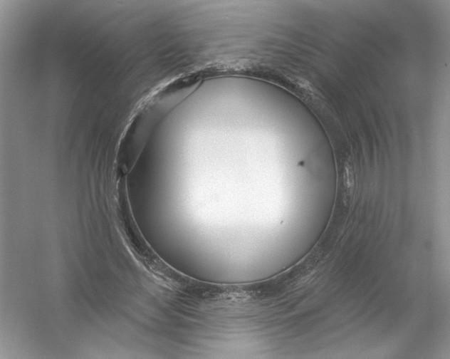 X0000053000492200508051138