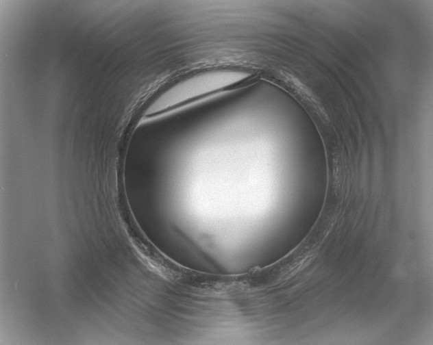 X0000053000493200508051138