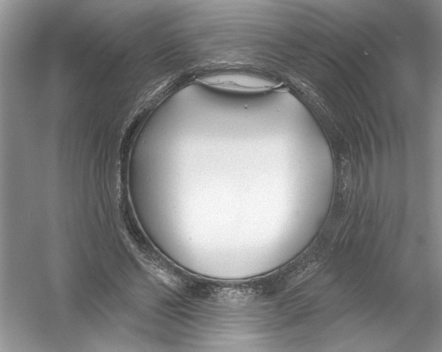 X0000053000494200508051138