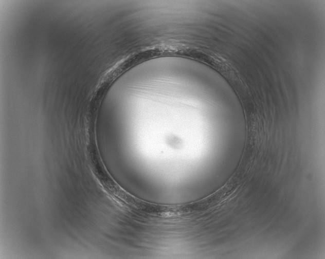 X0000053000496200508051138