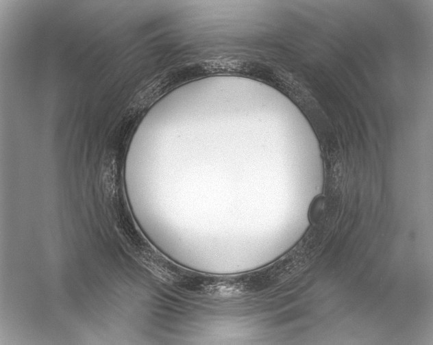 X0000053000498200508051138