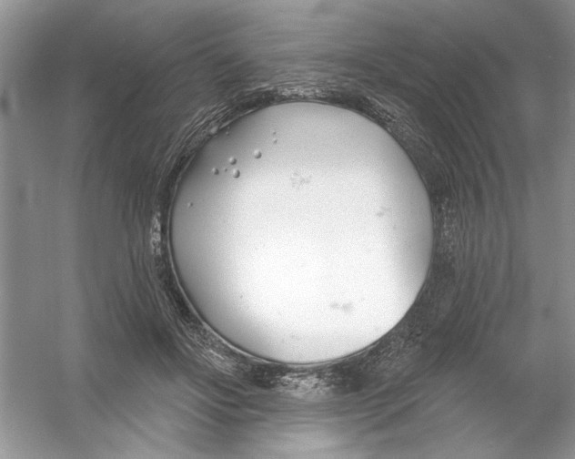 X0000053000502200508051138