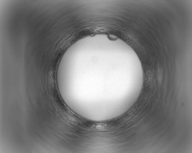 X0000053000506200508051138