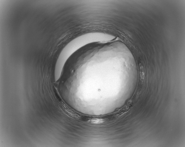 X0000053000507200508051138