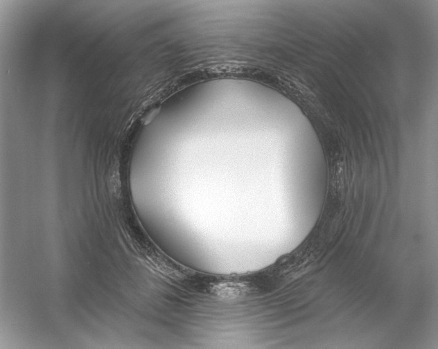 X0000053000508200508051138