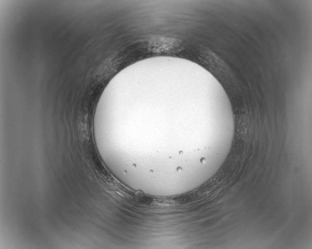 X0000053000510200508051138