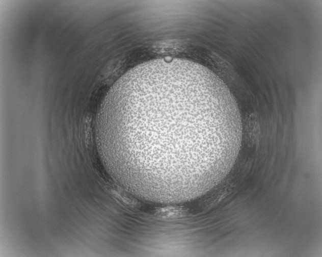 X0000053000511200508051138