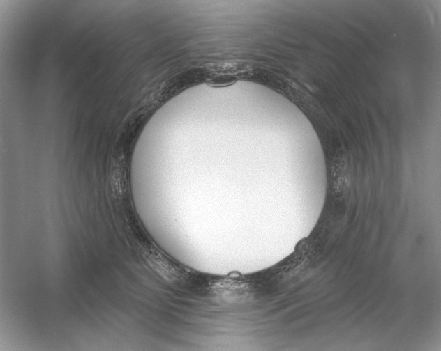 X0000053000515200508051137