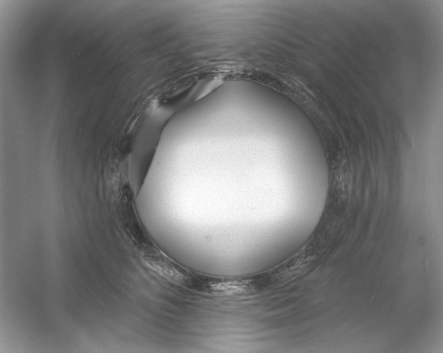 X0000053000516200508051137