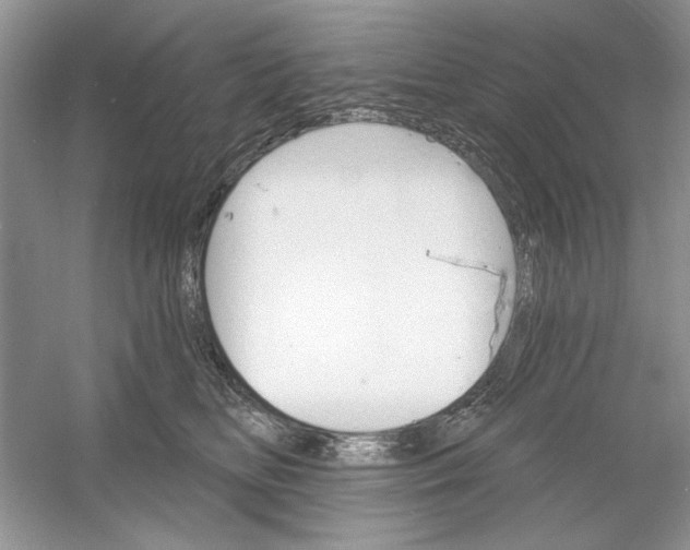 X0000053000518200508051137