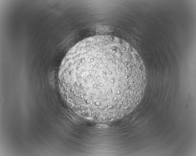 X0000053000519200508051137