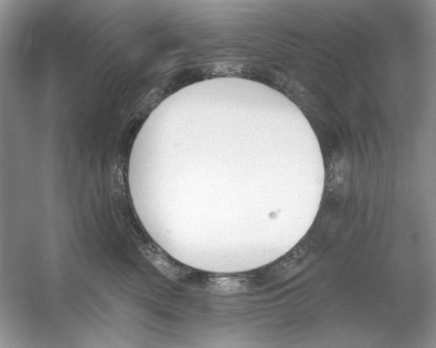 X0000053000522200508051137